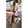 Arturo Fuente Sun Grown Double Chateau Fuente 6 3/4 * 50
