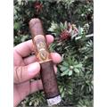 Oliva Serie V Double Robusto 5  * 54