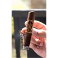 Oliva Serie V Double Robusto 5  * 54