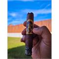 Oliva Serie V Double Robusto 5  * 54