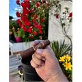 Oliva Serie V Double Robusto 5  * 54