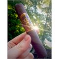 Oliva Serie V Double Robusto 5  * 54