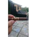 Oliva Serie V Torpedo 6  * 56