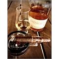 Oliva Serie V Torpedo 6  * 56