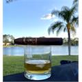 Oliva Serie V Torpedo 6  * 56
