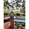 Oliva Serie V Torpedo 6  * 56