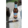 Oliva Serie V Torpedo 6  * 56