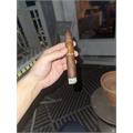 Oliva Serie V Torpedo 6  * 56