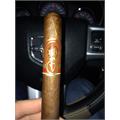 Oliva Serie V Churchill Extra 7  * 52