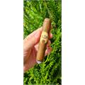Oliva Serie G Toro 6  * 50