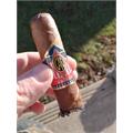 CAO America Potomac 5  * 56