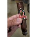 CAO America Potomac 5  * 56