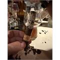 Rocky Patel Decade Robusto 5  * 50