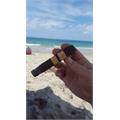 Rocky Patel Decade Robusto 5  * 50