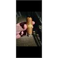NUb Connecticut 460 4  * 60