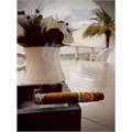 Arturo Fuente Natural Chateau Fuente Pyramid 6  * 52