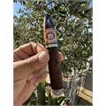Arturo Fuente Sun Grown Chateau Fuente Queen B 5 1/2 *52