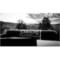 Camacho Triple Maduro Gordo 6  * 60