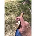 Padron 1964 Anniversary Torpedo Natural 6  * 52
