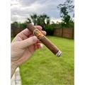 Don Lino Africa Duma Robusto 5  * 50