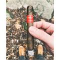 CAO Flavours Cherrybomb Petit Corona 4  * 40