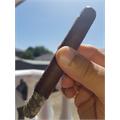 Cain Habano 550 5 3/4 * 50