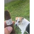 Liga Privada No. 9 Robusto 5  * 54