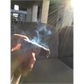 Liga Privada No. 9 Toro 6  * 52