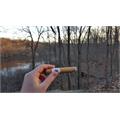 Ashton Classic Magnum 5  * 50