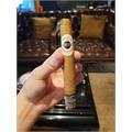 Ashton Classic Corona 5 1/2 * 44
