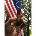 La Aroma de Cuba Robusto 5 1/4 * 54