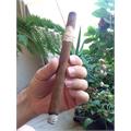My Father No. 4 Lancero 7 1/2 * 38