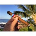 Flor de Oliva Gold Churchill 7  * 50