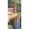 Flor de Oliva Gold Toro 6  * 50