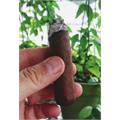 Cain Nub Habano 460 4  *60