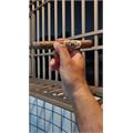 Ashton ESG 23-Year Salute 6 1/4 * 52