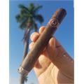 Padron Series 2000 Maduro 5  * 50