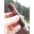 Padron Series 2000 Maduro 5  * 50