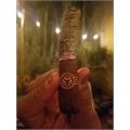Padron Series 2000 Maduro 5  * 50