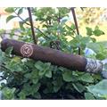 Padron Series 2000 Maduro 5  * 50