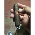 Padron Series 2000 Maduro 5  * 50