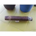 Padron Series 2000 Maduro 5  * 50