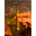 Padron Series 2000 Maduro 5  * 50