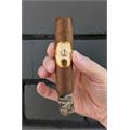 Oliva Serie G Double Robusto 5  * 54