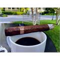 Padron Series 3000 Maduro 5 1/2 * 52