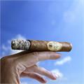 Oliva Serie O Robusto 5  * 50