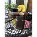 Oliva Serie O Robusto 5  * 50