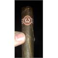 Padron Series 5000 Maduro 5 1/2 * 56