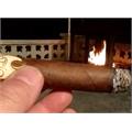 Oliva Serie O Toro 6  * 50