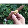 Oliva Serie O Torpedo 6 1/2 * 52